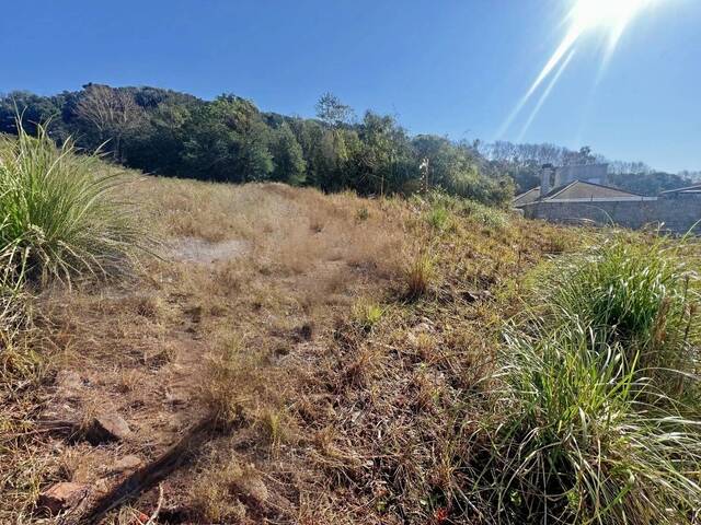 #VE013 - Terreno para Venda em Bento Gonçalves - RS - 1