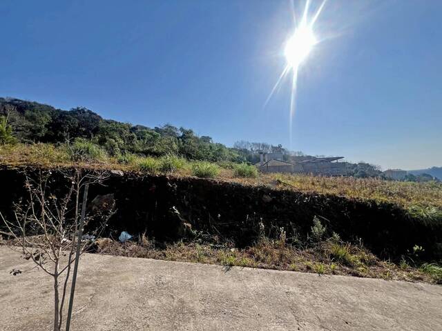 #VE013 - Terreno para Venda em Bento Gonçalves - RS - 2