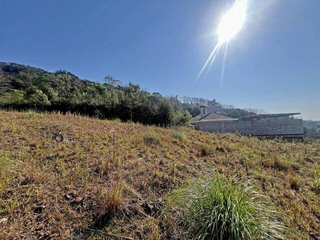 Terreno para Venda em Bento Gonçalves - 4