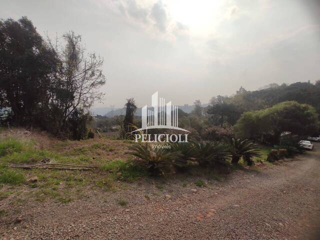 #VE025 - Chácara para Venda em Monte Belo do Sul - RS - 1
