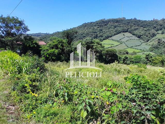 #VE029 - Área para Venda em Bento Gonçalves - RS - 2