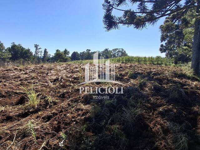#VE053 - Area de terra rural para Venda em Bento Gonçalves - RS