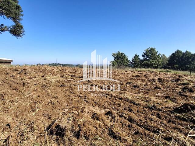 #VE053 - Area de terra rural para Venda em Bento Gonçalves - RS