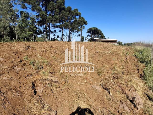 #VE053 - Area de terra rural para Venda em Bento Gonçalves - RS