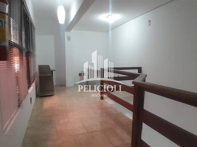 Sala para Locação em Bento Gonçalves - 5