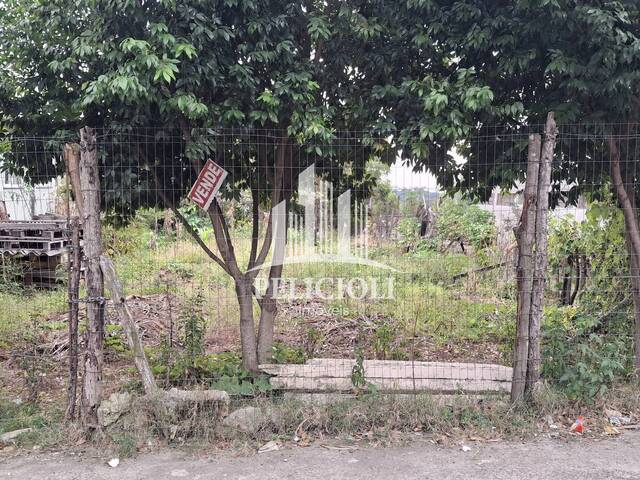 Terreno para Venda em Bento Gonçalves - 4