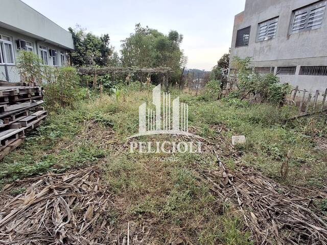 Terreno para Venda em Bento Gonçalves - 5