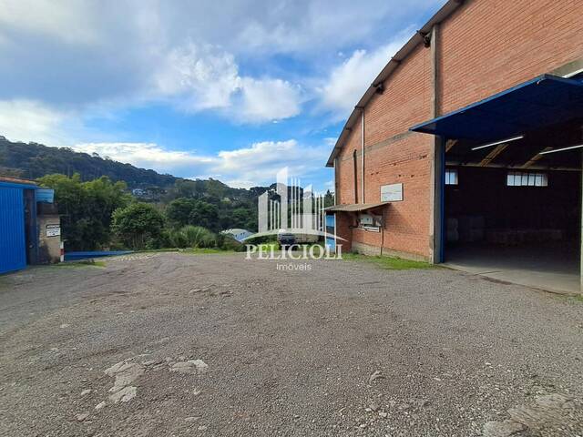 #LO087 - Sala para Locação em Bento Gonçalves - RS