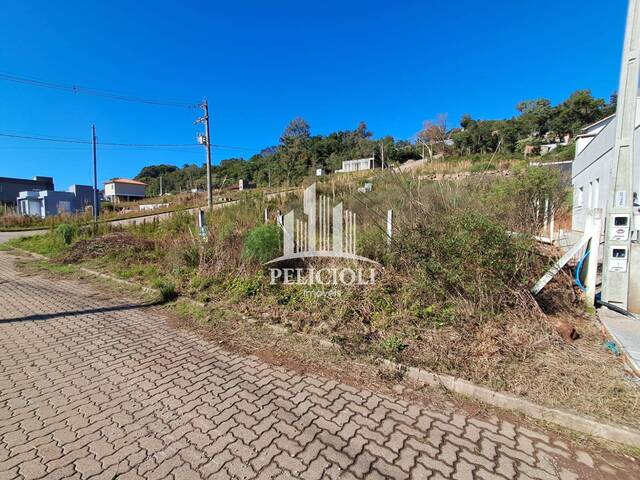 #VE089 - Terreno para Venda em Bento Gonçalves - RS