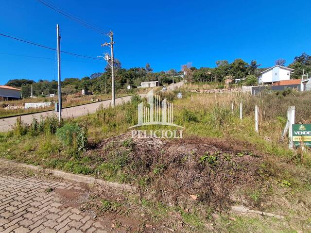 Terreno para Venda em Bento Gonçalves - 4