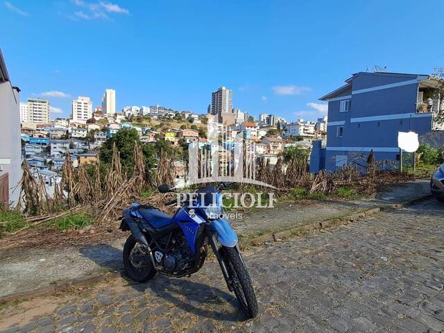 #VE102 - Área para Venda em Bento Gonçalves - RS - 3
