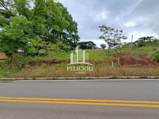 #VE125 - Área para Venda em Bento Gonçalves - RS - 3