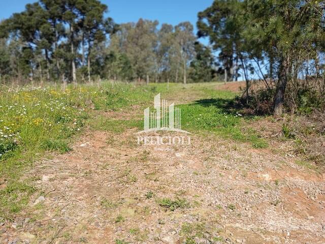 #VE126 - Área para Venda em Bento Gonçalves - RS - 2