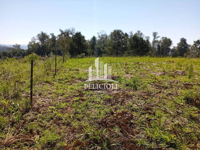 #VE126 - Área para Venda em Bento Gonçalves - RS - 1