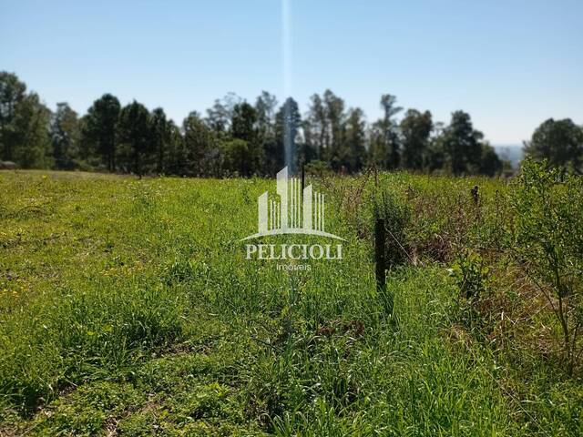 #VE126 - Área para Venda em Bento Gonçalves - RS - 3