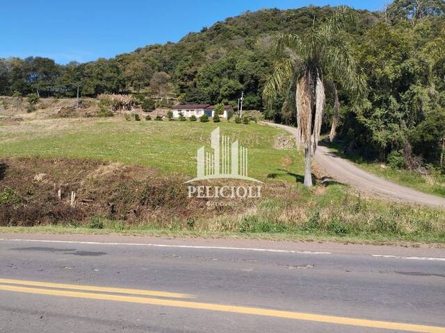 #VE128 - Chácara para Venda em Westfália - RS - 2