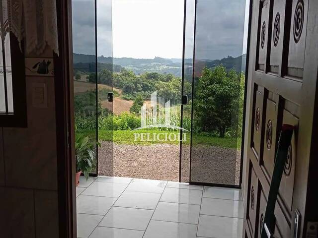 #VE128 - Chácara para Venda em Westfália - RS - 3